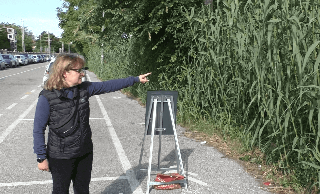 Via La Marca in stato di abbandono: "Pericolo per i bambini nel torrente"
